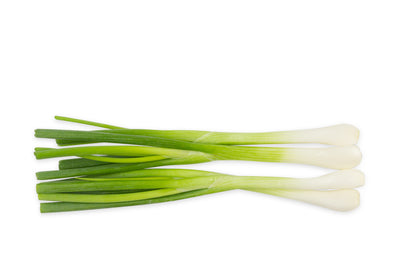 GREEN ONION [1 ea]