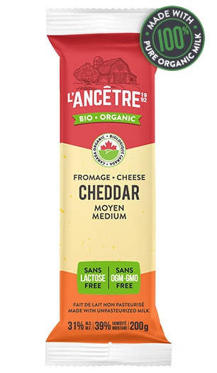 LANCETRE MEDIUM CHEESE [1 pkg]
