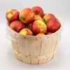 APPLES HONEYCRISP PECK [1 bskt]