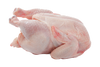 FRESH WHOLE TURKEY
