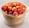 APPLES GALA BUSHEL [1 bskt]