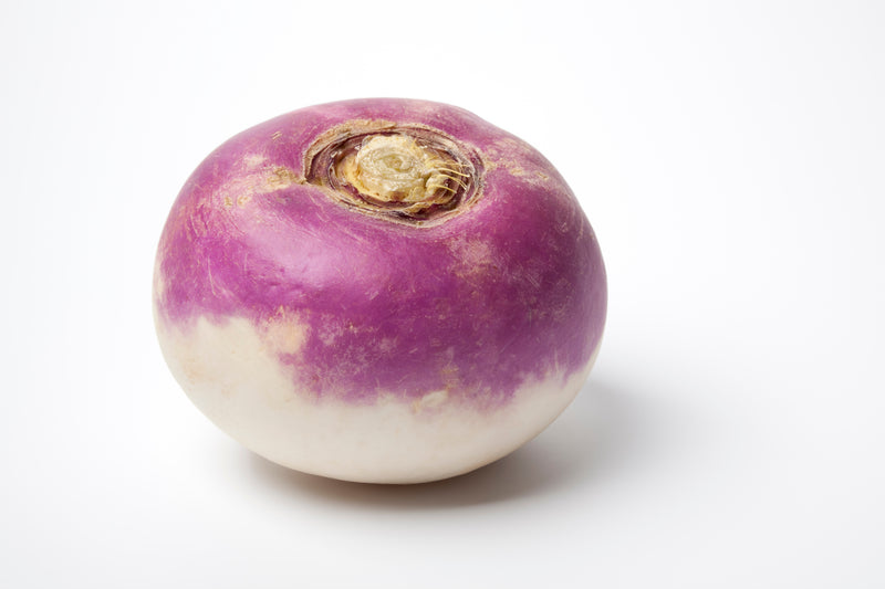 TURNIP SUMMER [1 kg]