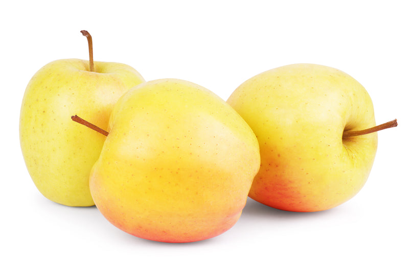 APPLES GINGERGOLD LOOSE