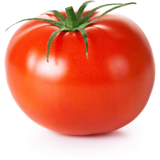 TOMATOES FIELD LOOSE