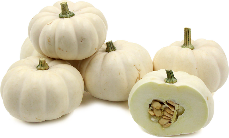 PUMPKIN WHITE MINI [1 ea]
