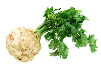 CELERIAC