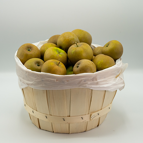 APPLES RUSSET PECK [1 bskt]