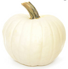 PUMPKIN WHITE $3.99 [1 ea]