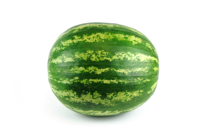 WATERMELON LARGE [1 ea]