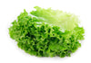 LETTUCE GREEN LEAF [1 ea]