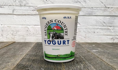 YOGOURT SC PLAIN 4% [1 ea]