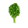 PARSLEY FLAT ITALIAN [1 ea]