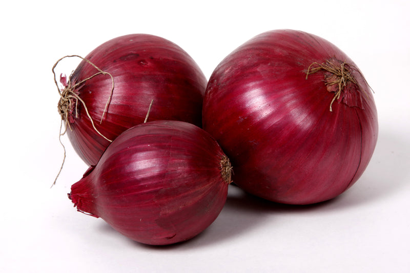 ONION RED