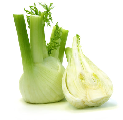 FENNEL [1 ea]