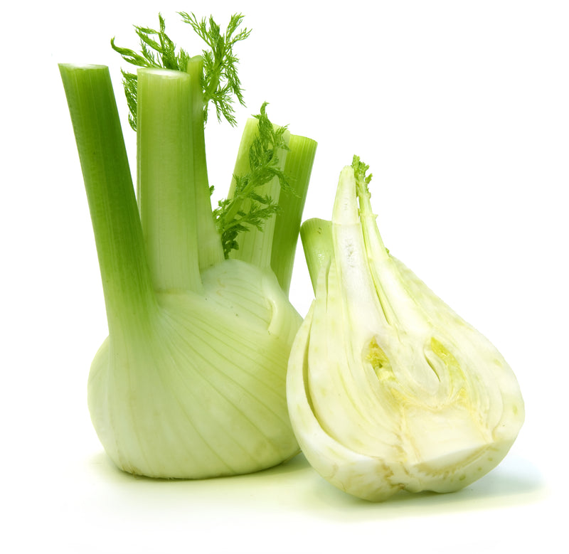 FENNEL [1 ea]