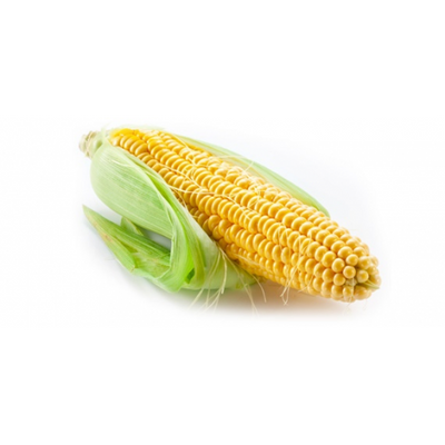 ONTARIO SWEET CORN [1 ea]