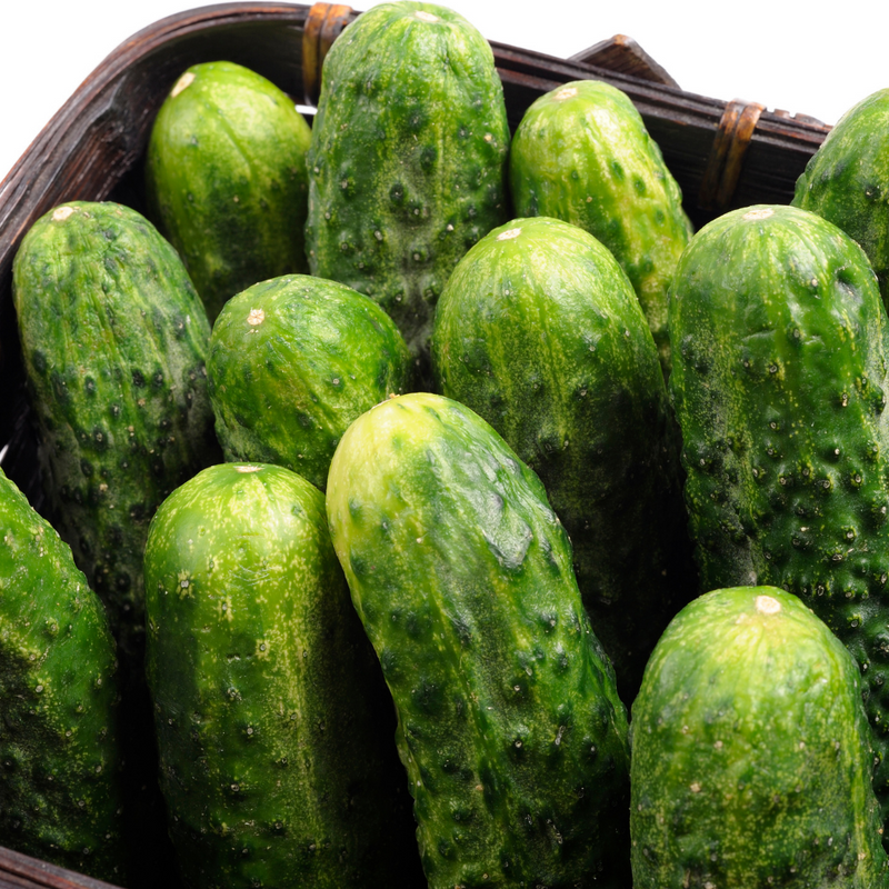 CUCUMBER PICKLING 1/2 BUSHEL [1 cs]