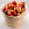 APPLES HONEYCRISP  BUSHEL [1 bskt]