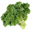 KALE GREEN [1 ea]