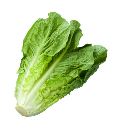 LETTUCE ROMAINE GREEN [1 ea]