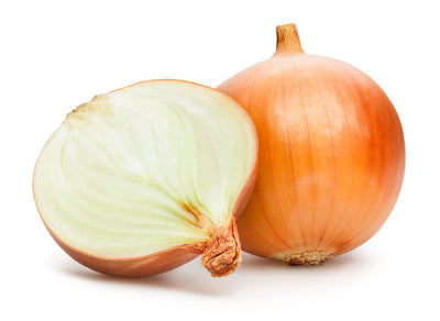 ONION SPANISH
