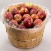APPLES MCINTOSH 1/2 BUSHEL [1 bskt]