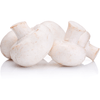 MUSHROOMS WHITE