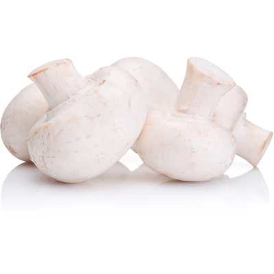 MUSHROOMS WHITE