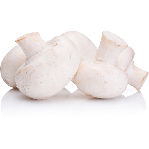 MUSHROOMS WHITE