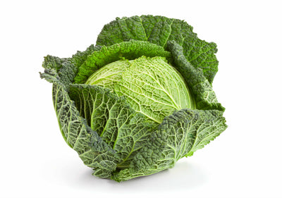 CABBAGE SAVOY [1 ea]
