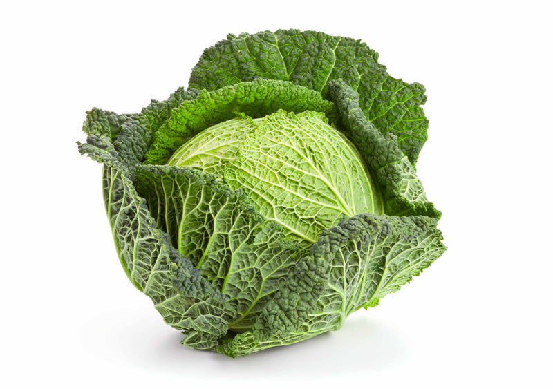 CABBAGE SAVOY [1 ea]