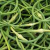 GARLIC SCAPES [1 pkg]