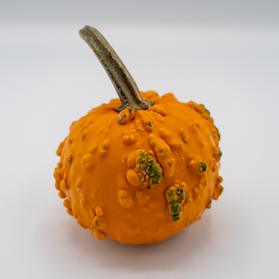DECORATIVE GOURDS