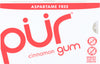 PUR GUM CINNAMON [1 pkg]