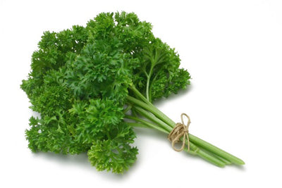 PARSLEY CURLY [1 ea]