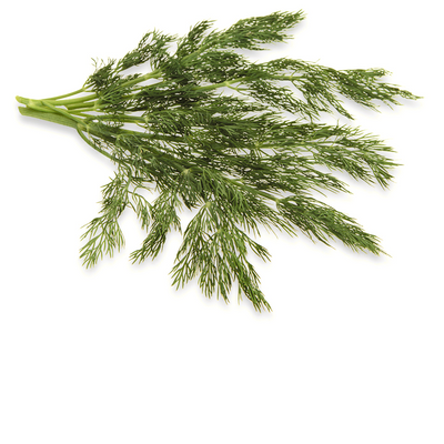 DILL [1 ea]