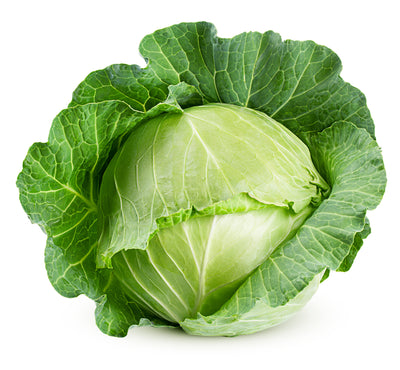 GREEN CABBAGE [1 ea]