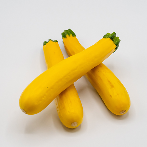 ZUCCHINI YELLOW