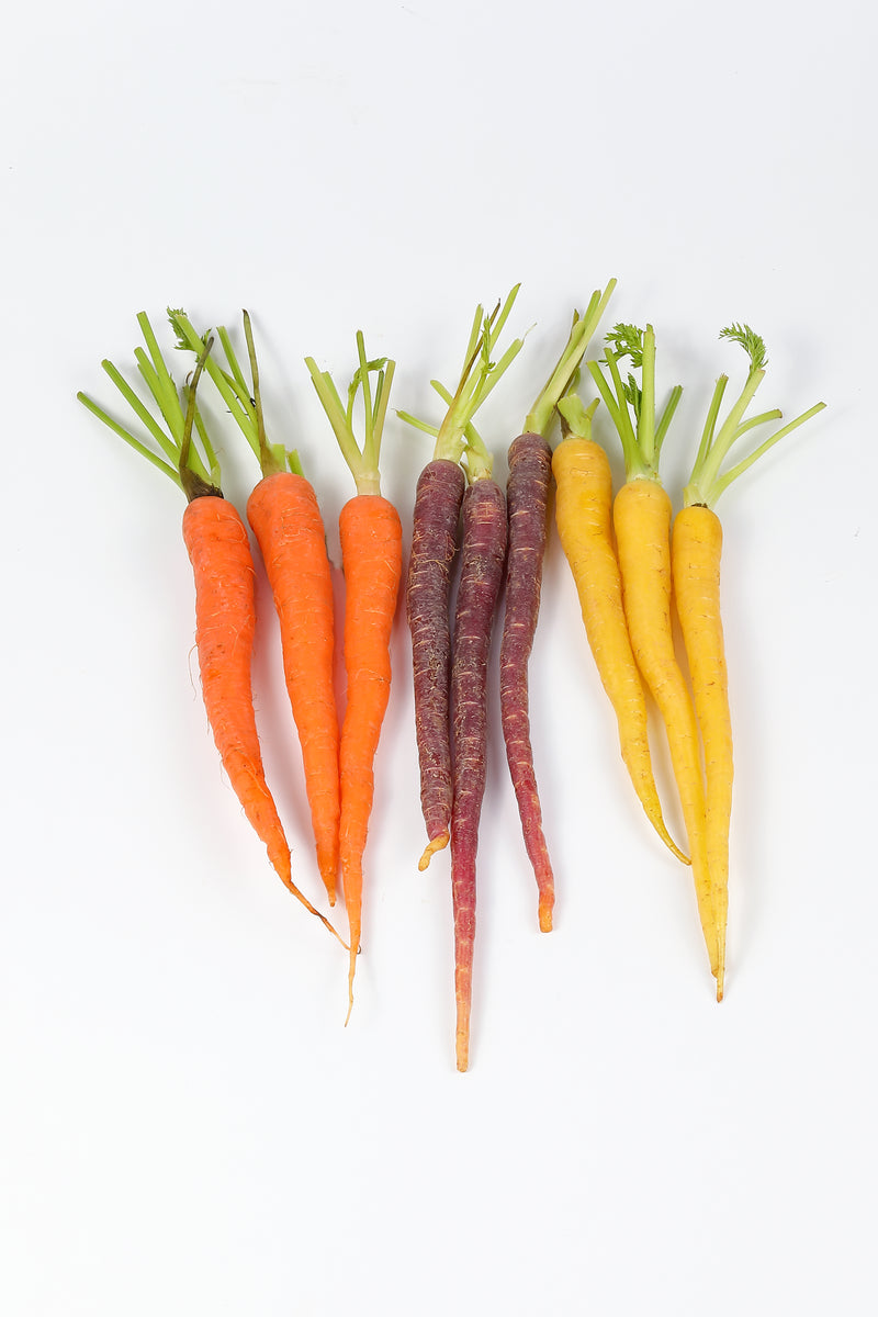CARROTS MIXED HEIRLOOM BUNCH [1 ea]