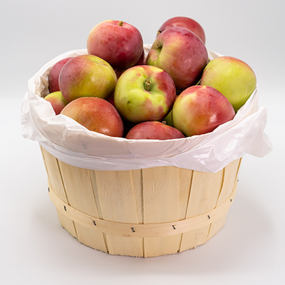 APPLES MCINTOSH PECK [1 bskt]