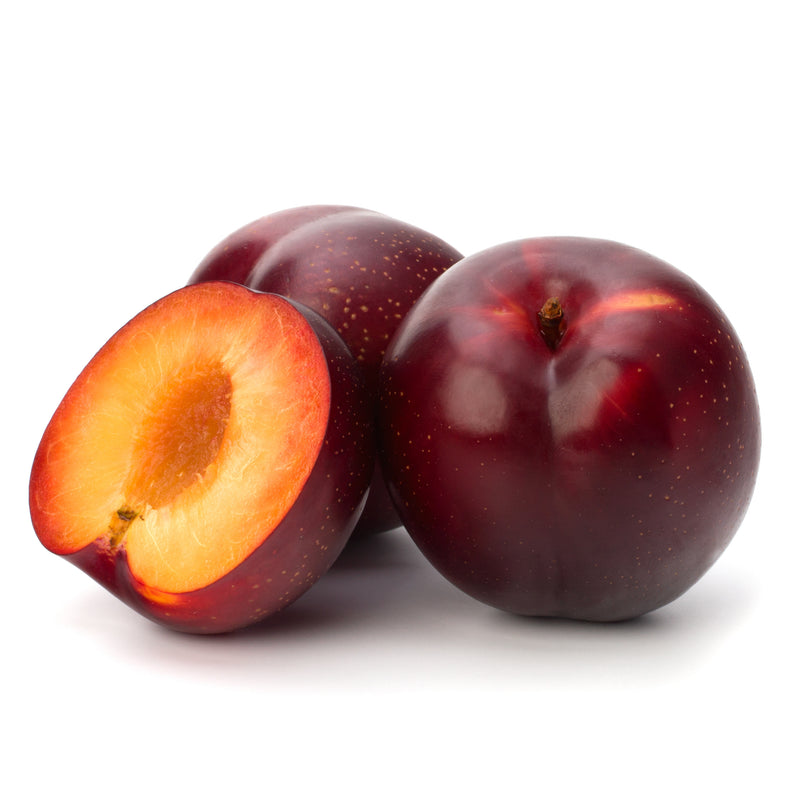 PLUM BLUE [1 kg]