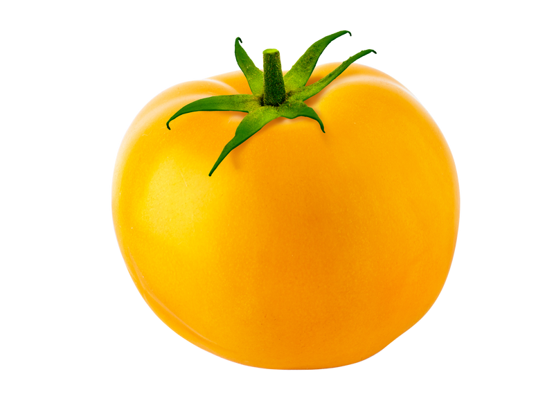 TOMATOES YELLOW ON THE VINE