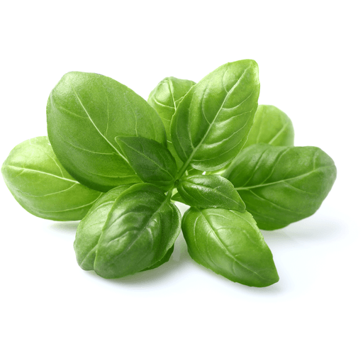 BASIL [1 ea]