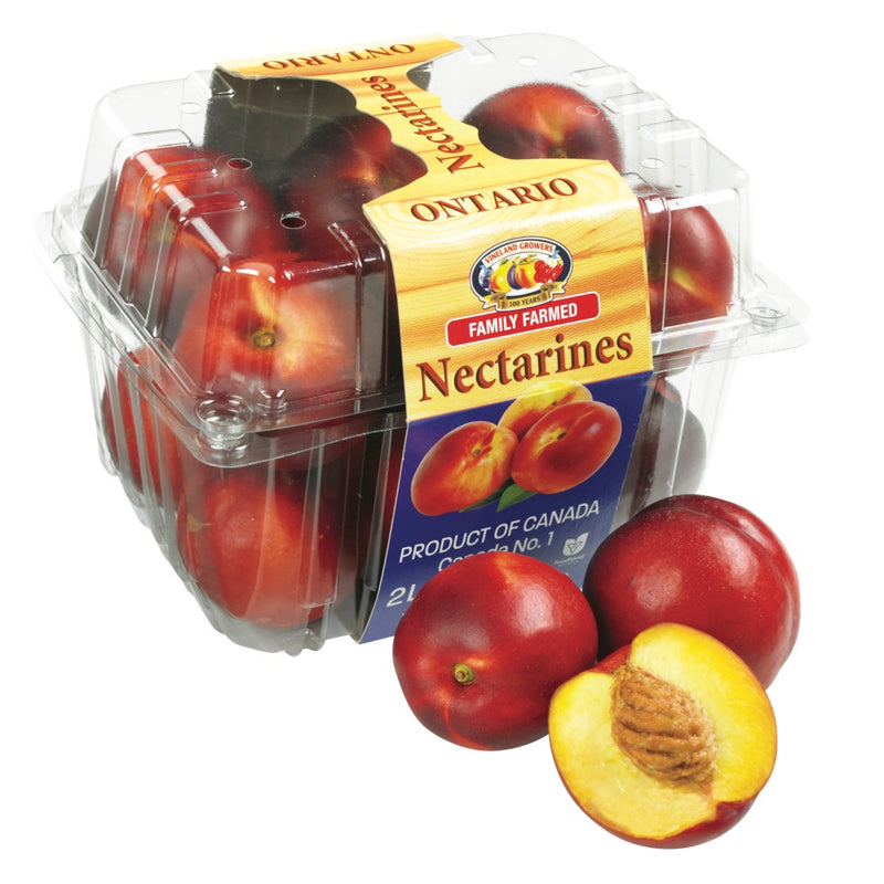 NECTARINE ONTARIO 2L BASKET [1 bskt]