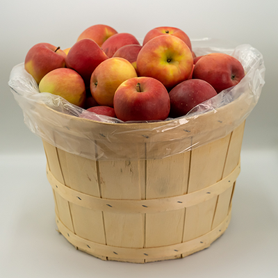 APPLES FUJI BUSHEL [1 bskt]